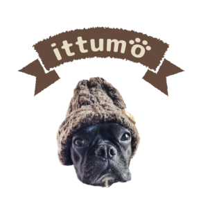 株式会社イデビュ_ittumo